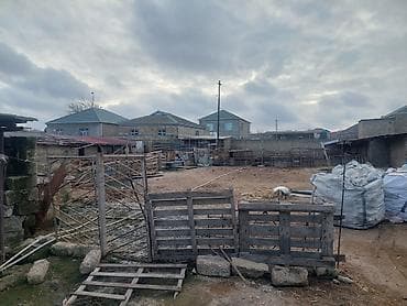 qobu torpaq satilir: Kənd təsərrüfatı — 2