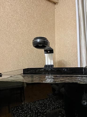 akvarium qumu: Hazir okean akvariumu satilir icinde dashi qumu 3 ilbizi musherom — 10