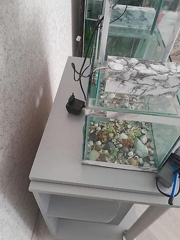 diskus baliqlari: Boş, 28 l — 7