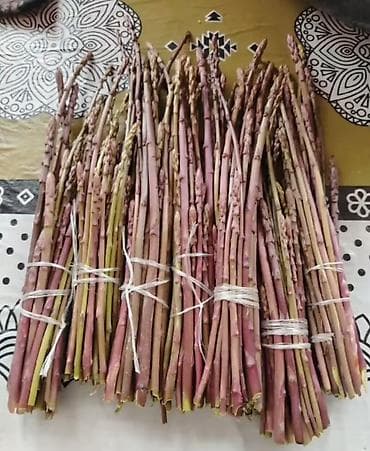 qida məhsullarının topdan satışı: Məhsul: Təbii yığılan yabanı quşqonmaz (asparagus) dəstələri Salam — 1