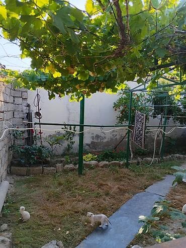 vila evler: Sabunçu qəs. 3 otaqlı, 63 kv. m, Orta təmir — 3