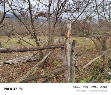 xankəndi evlər: Kənd təsərrüfatı — 2