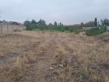 45 sot, Tikinti, Mülkiyyətçi, Kupça (Çıxarış) — 6