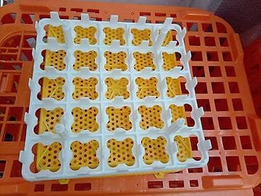 incubator satışı: Bütün növ quşlaq üçün — 4