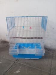 qus qefes: Papuqay qəfəsi az müddət istifadə olunub üstündə taxta yuvası da — 4