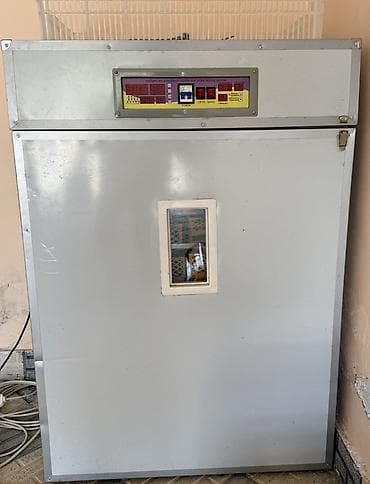 mini generator: Yumurta inkubasiya aparatı Generator,yemüyüden ve inkubator 3- ü — 4