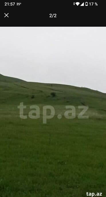 kirayə evlər içəri şəhər: 106 sot, Biznes üçün, Mülkiyyətçi, Kupça (Çıxarış) — 1