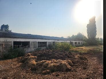 asan əmlak: Ferma təsərrüfatı üçün daş konstruksiyalı iri təsərrüfat binaları və — 5