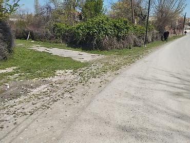 yeni guneşlide ucuz evler: Kənd təsərrüfatı — 3