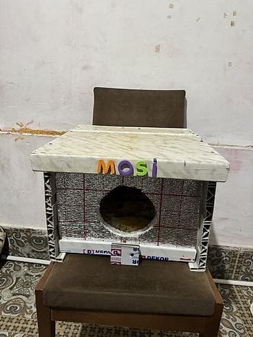 heyvan: İzolyasiyalı pişik evi – “MOSI” Özüm hazırlamışam, içerisinin — 1