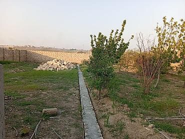 torpag sahesi: Tikinti, Kupça (Çıxarış) — 9