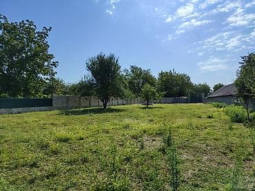 ecemi kiraye ev: 15 sot, Kupça (Çıxarış) — 3