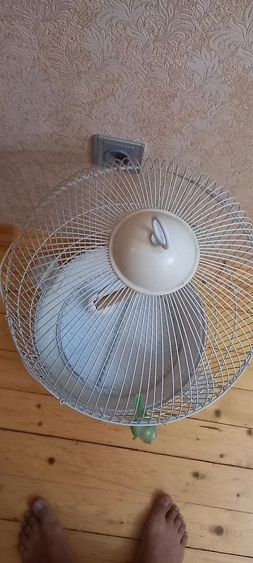 Ela veziyyetdedi lalafo.az -da Ela veziyyetdedi