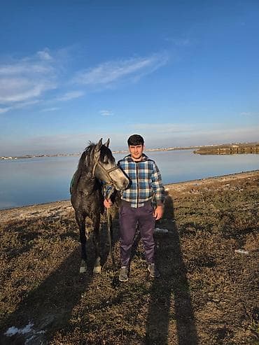 daycalar: Salam hamıya 2 yaş 7 aylıq dayça 13 defe minilib 25 27 bele gedir pula — 2