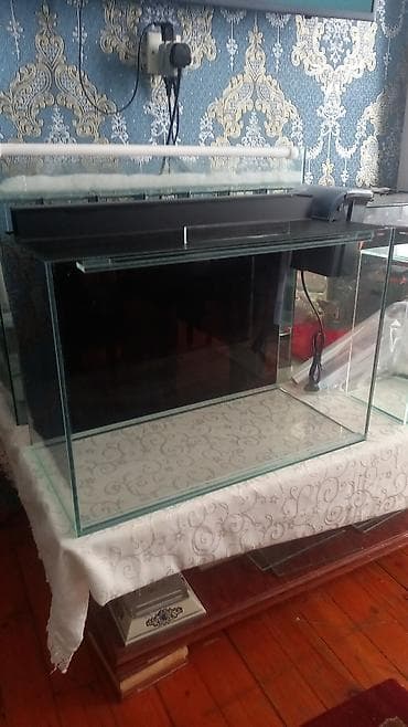gence akvarium: Salam isdənilən ölçüdə akvarium yığıram nömrədə vhatsap var buyurun — 1