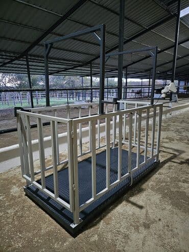 Eşşəklər: At tövlələri və fermalar üçün heyvan ölçü və müayinə qəfəsi heyvan — 3