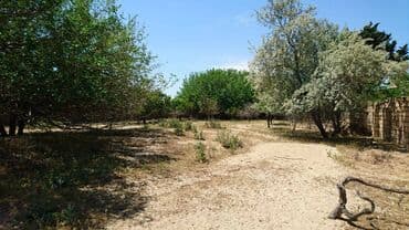 25 sot, Tikinti, Makler, Kupça (Çıxarış)