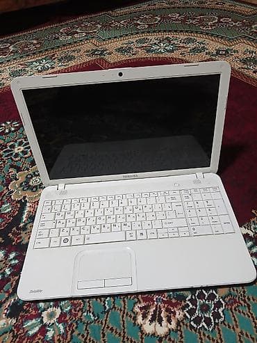 Toshiba Satellite ağ noutbuk Xüsusiyyətlər və detallar: - Korpus və