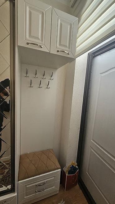 dolab: Dəhliz üçün funksional garderob-dolab dəsti. Real alıcıya endirim — 2