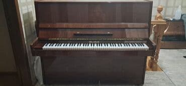 Piano, Belarus, Akustik