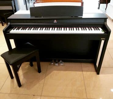 music gallery: Piano, Mayga, Rəqəmsal, Yeni, Pulsuz çatdırılma, Rayonlara çatdırılma — 1