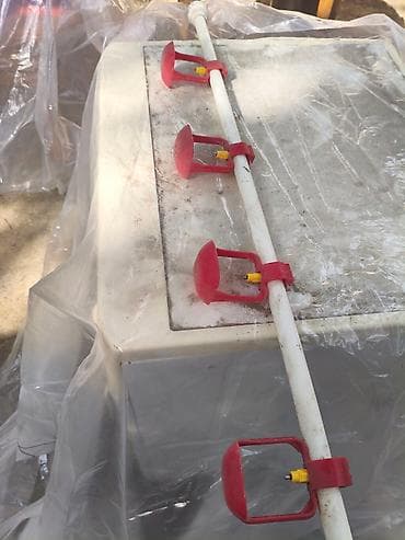 Yuvalar: Salam su qabı satılır qiyməti 7 manat real alıcılar zəng etsin — 1