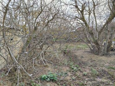 dübəndi torpaq: 11 sot, Tikinti, Makler, Kupça (Çıxarış) — 8