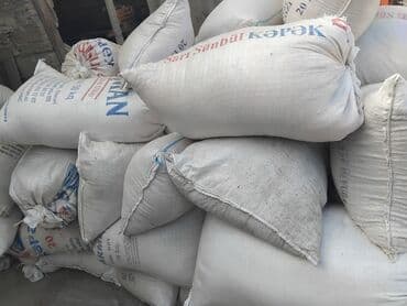 saat audemars piguet: Apilka heyvan padalok üçün elə indi zəng et — 1