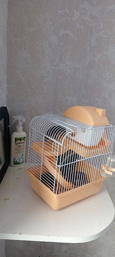 hamster near me: Salam 4eded Xamyak Yuvasi ile sarikir. Yimek qabi. Su qabi — 3