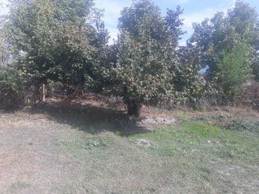 qubada torpag: 35 sot, Tikinti, Mülkiyyətçi, Kupça (Çıxarış) — 6