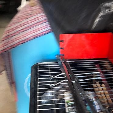 Nasoslar və hidroforlar: Manqal satilir. Cemi 1-2 defe istifade olunub. Materialı nazikdir — 2