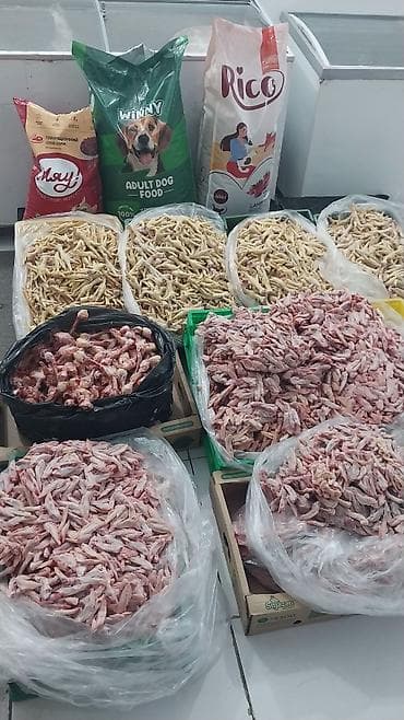 kömür toptan: Digər brend Toyuq Topdan — 2