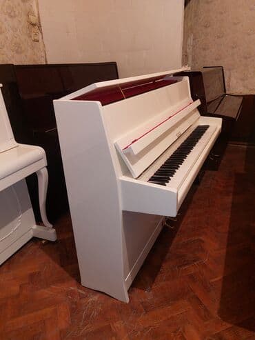 piano dersleri baki: Piano, Petrof, Akustik, Yeni, Pulsuz çatdırılma — 1