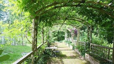 demir alanlar bakida: Talvar .kölgəlik — 5