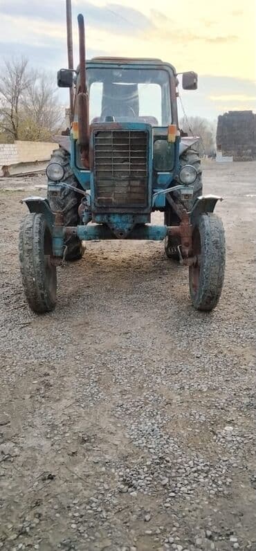 t 25 traktor: Traktor MTZ (Belarus) tipli, kabinəli, arxa iri protektor təkərlərlə — 4