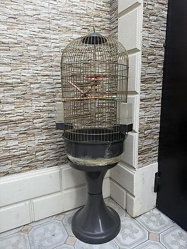 qus: Ayaqlı quş qəfəsi Boyuk olcudedir Unvan:Bileceri Memmedogullar Servis — 2