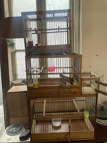 kanada: Hamsi bir yerde unvan montin Təsvir: - Üç mərtəbəli taxta quş qəfəs — 2