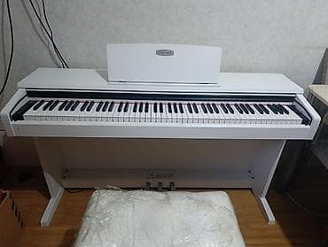 elekt: Pearl River v 03 elektro pianosu. Akustik piano səsinə çox yaxın səs — 3