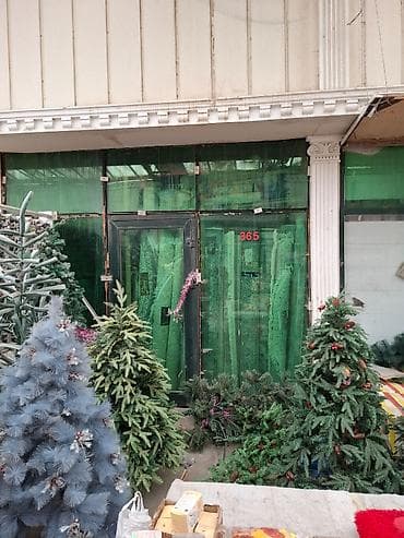 gence torpaq satisi: 2 ədəd obyekt satılır. Hər biri 80 kvadratdır. Hal hazırda icarədədir — 2