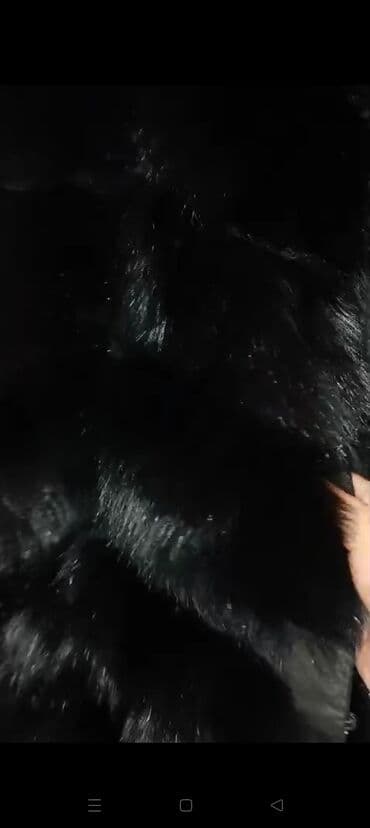 норковая шуба цена бишкек: Biset. satilir. qeti geyilmeyib .cox baha alinib. 200 satilir — 10