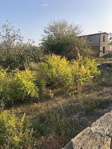 gencede kreditle evler: 12 sot, Tikinti, Kupça (Çıxarış), Texniki pasport — 7