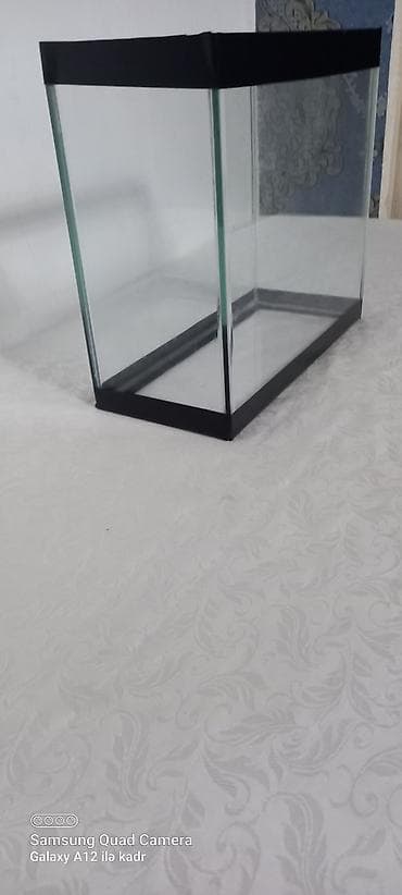 su heyvanlari: Salam akvariumun ölçüləri uzunu 30 sm . hündürü 26 sm . eni 15 sm — 2