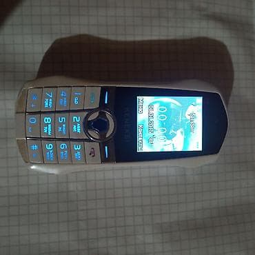 Samsung C100, rəng - Gümüşü, Düyməli