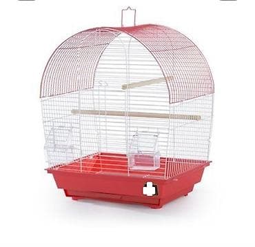 taxta qefes: SUPER PAPUQAY DƏSTİ 🦜cemi 45 azn ✨ Hamısı bir yerdə – ideal başlanğıc — 5