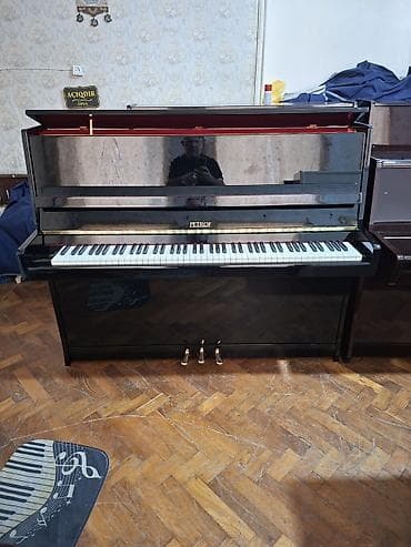 Piano, Petrof, Akustik, Yeni, Pulsuz çatdırılma — 1