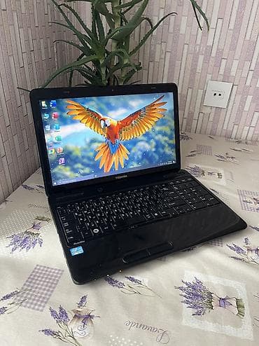 toshiba notebook qiymətləri: Toshiba, 15.6 ", Intel Core i5, 512 GB — 1