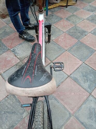 tilly cayman üççarxlı velosipedlər: Dağ velosipedi 20" — 2