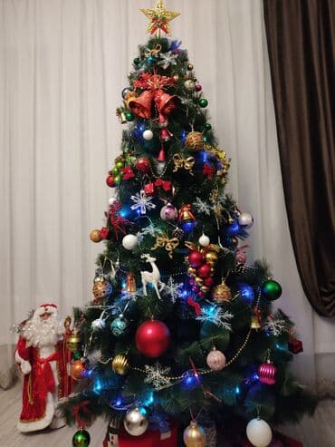 gəncə toyuq: Oyuncaqsiz satilir — 2