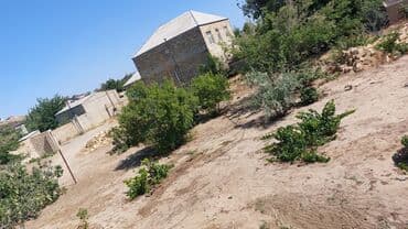 sulutəpə çiçək qəsəbəsi: 12 sot, Tikinti, Maklerlər narahat etməsin, Kupça (Çıxarış) — 5