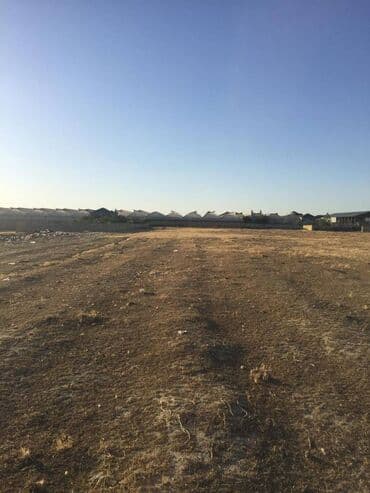 ucuz hotel: Biznes üçün, Mülkiyyətçi, Kupça (Çıxarış) — 4